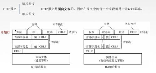 計算機網絡基礎知識之應用層 網絡開發與服務的基石